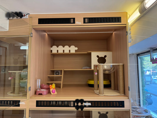 Cat Premium Room