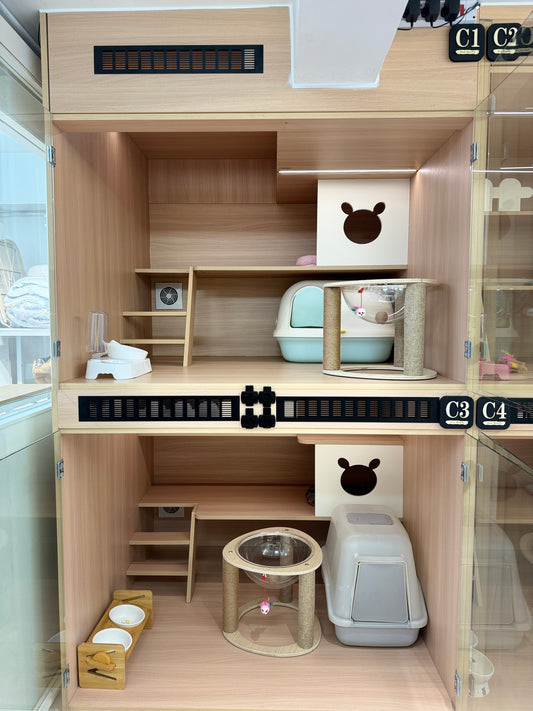 Cat Standard Room