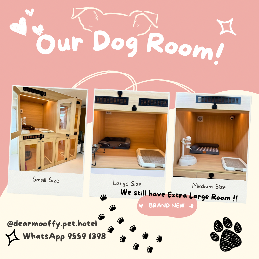 狗狗房間Dog Rooms🐶