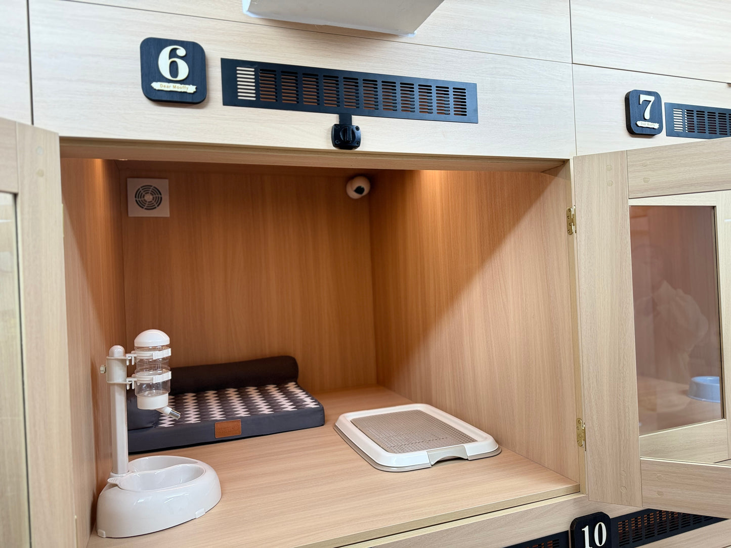 🐶Dog Rooms (中型房 Medium Room)