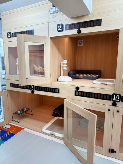 🐶Dog Rooms (大型房 Large Room)