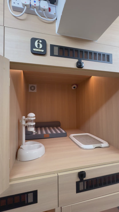 🐶Dog Rooms (中型房 Medium Room)