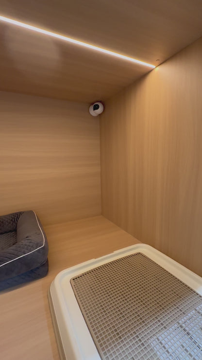 🐶Dog Rooms (大型房 Large Room)